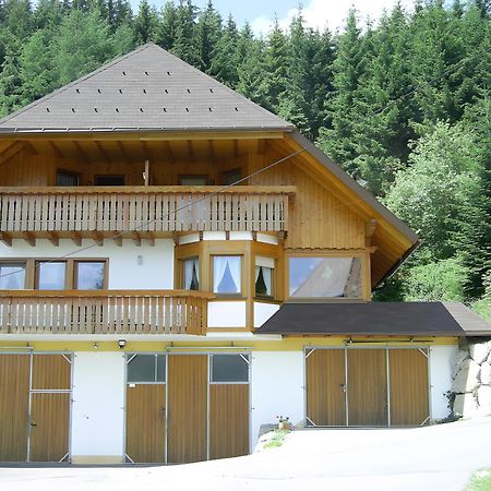 Hinterhauensteinhof Villa Hornberg Eksteriør billede