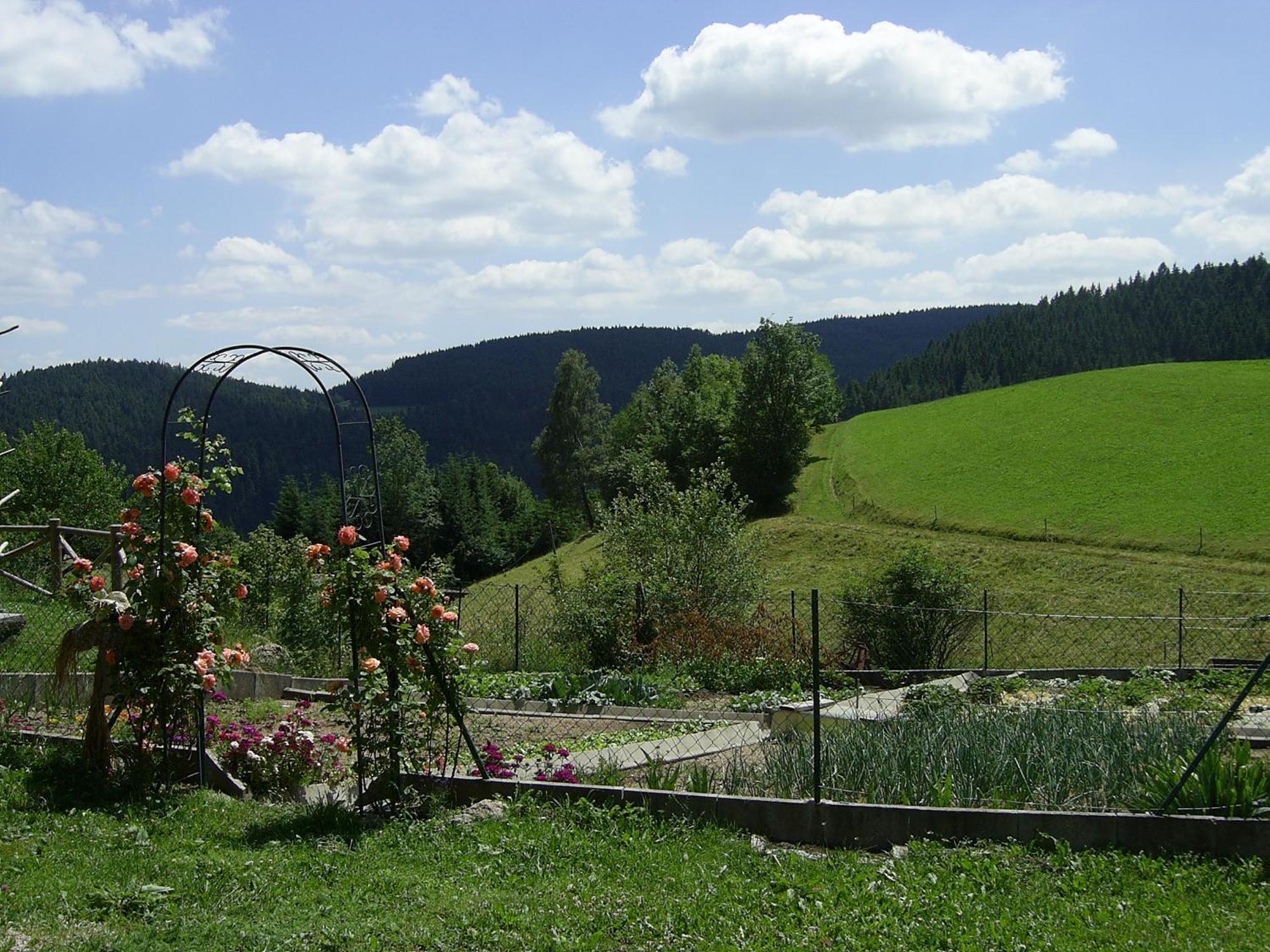 Hinterhauensteinhof Villa Hornberg Eksteriør billede