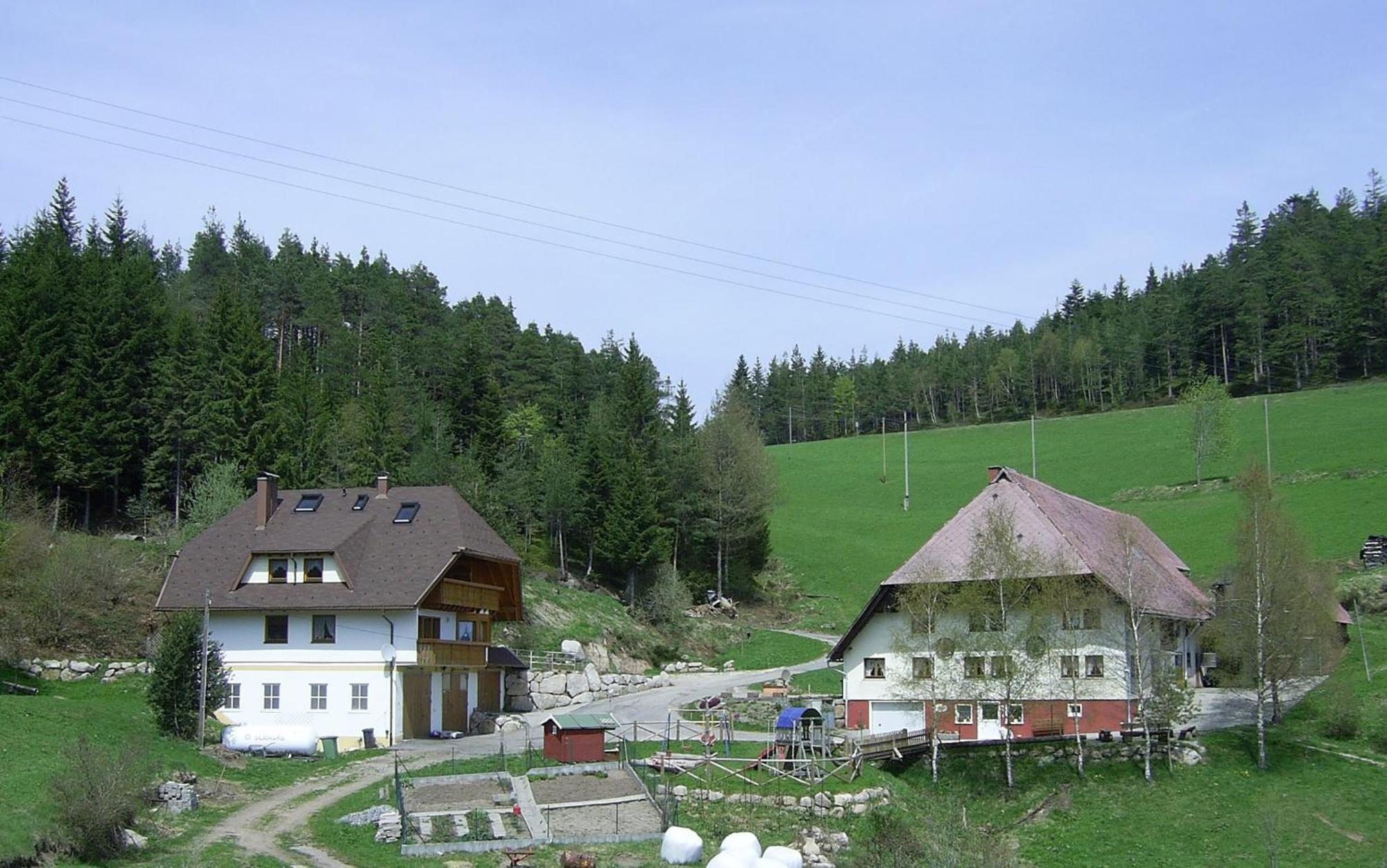 Hinterhauensteinhof Villa Hornberg Eksteriør billede
